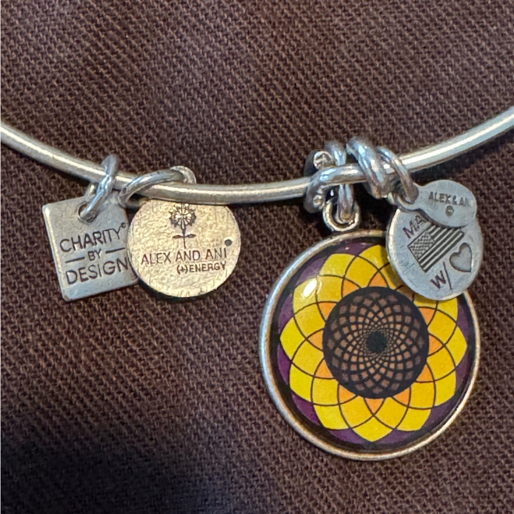 Alex and Ani Silver Bracelet with Colorful Charm